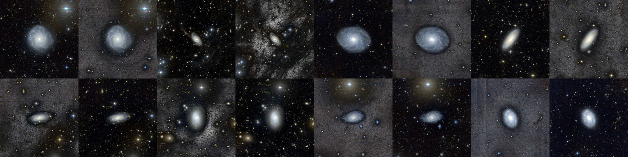 A glimpse of some of the beautiful BEARD galaxies