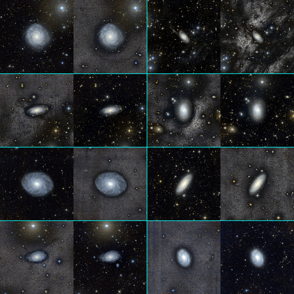 A glimpse of some of the beautiful BEARD galaxies